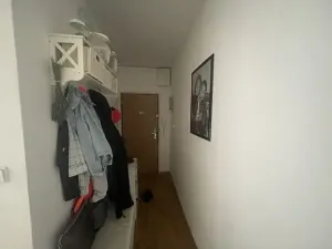 Pronájem bytu 2+1, Břeclav, 58 m2