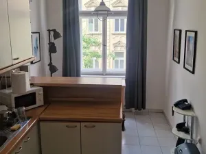 Pronájem bytu 2+kk, Praha - Vinohrady, Mánesova, 46 m2