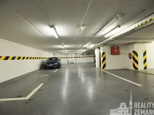Pronájem bytu 2+kk, Praha - Vinohrady, Mánesova, 46 m2