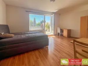 Pronájem bytu 1+kk, Praha, Na křečku, 60 m2