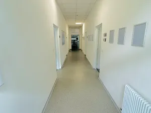 Pronájem výrobních prostor, Chodová Planá, Kyjovská, 2497 m2