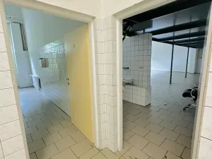 Pronájem výrobních prostor, Chodová Planá, Kyjovská, 2497 m2