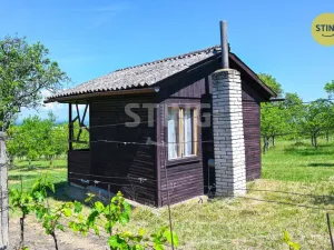 Prodej sadu/vinice, Strážnice, 4353 m2