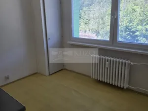 Pronájem bytu 1+1, Jirkov, Krušnohorská, 41 m2