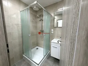 Pronájem bytu 1+1, Litvínov - Horní Litvínov, náměstí Míru, 64 m2
