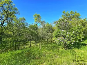 Prodej zahrady, Brno - Židenice, 847 m2