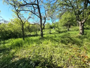 Prodej zahrady, Brno - Židenice, 847 m2