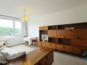 Pronájem bytu 2+kk, Praha - Smíchov, Na pláni, 50 m2