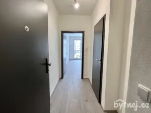 Pronájem bytu 1+kk, Vyškov - Dědice, Sídliště Osvobození, 29 m2