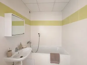 Pronájem bytu 1+1, Litvínov, U Bílého sloupu, 40 m2