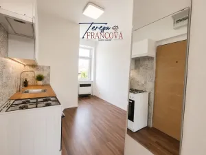 Pronájem bytu 1+1, Prostějov, Vojtěcha Outraty, 41 m2