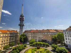 Prodej bytu 2+1, Praha - Žižkov, Škroupovo náměstí, 102 m2