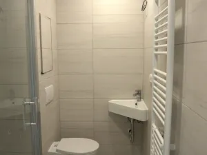 Pronájem bytu 1+1, Plzeň - Bolevec, Kralovická, 39 m2