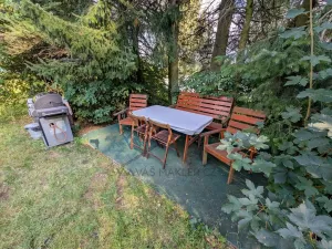Prodej - jiné, Seč, 50 m2