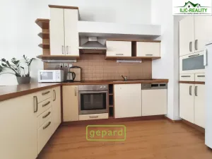 Pronájem bytu 2+kk, Plzeň, Skrétova, 78 m2