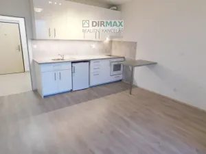 Pronájem bytu 1+kk, Plzeň - Jižní Předměstí, Magisterská, 32 m2