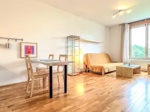Pronájem bytu 1+kk, Praha - Žižkov, Havlíčkovo náměstí, 32 m2