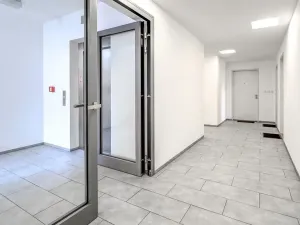 Pronájem bytu 1+kk, Praha - Žižkov, Havlíčkovo náměstí, 32 m2