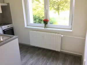 Pronájem bytu 1+1, Ostrava - Hrabůvka, U Haldy, 38 m2
