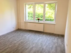 Pronájem bytu 1+1, Ostrava - Hrabůvka, U Haldy, 38 m2