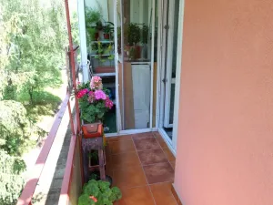 Prodej bytu 3+1, Nový Jičín, Nádražní, 71 m2