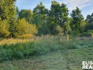Prodej pozemku pro bydlení, Jiříkov - Filipov, 2930 m2
