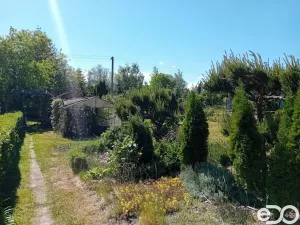 Prodej zahrady, Bělá pod Bezdězem, 215 m2