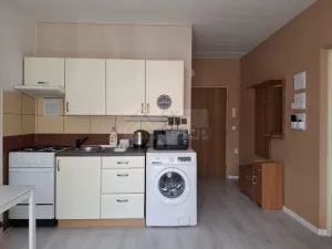 Pronájem bytu 1+1, Karlovy Vary - Drahovice, Lidická, 36 m2