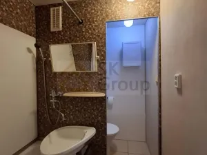 Pronájem bytu 1+1, Karlovy Vary - Drahovice, Lidická, 36 m2