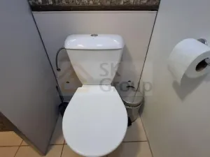 Pronájem bytu 1+1, Karlovy Vary - Drahovice, Lidická, 36 m2