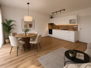 Prodej bytu 1+kk, Plzeň - Jižní Předměstí, Měděná, 41 m2