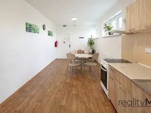 Pronájem ubytování, Dobrovice, 500 m2