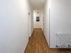 Pronájem ubytování, Dobrovice, 500 m2