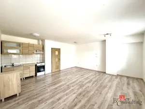 Pronájem bytu 1+kk, Kostelec nad Orlicí, Husova, 45 m2