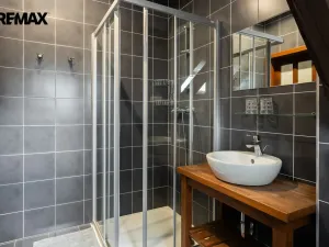 Prodej vícegeneračního domu, Holetín - Horní Holetín, 800 m2