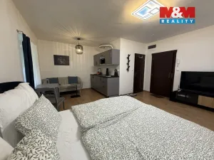 Pronájem bytu 1+kk, Líšnice, Spálený Mlýn, 27 m2