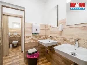 Prodej ubytování, Dubí - Cínovec, 660 m2