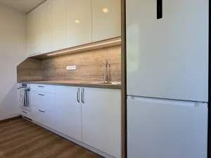 Pronájem bytu 1+1, Olomouc - Neředín, Neředínská, 41 m2