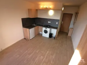 Pronájem bytu 1+kk, Jihlava, Okružní, 20 m2