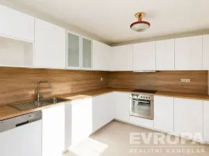 Pronájem vily, Průhonice, Sadová, 350 m2