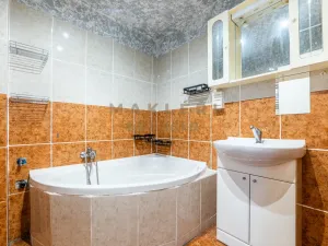 Prodej vícegeneračního domu, Tuchlovice, 224 m2