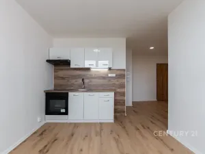 Prodej bytu 2+kk, Most, Lidická, 33 m2