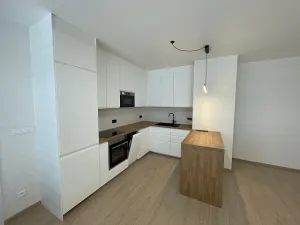 Pronájem bytu 3+kk, Praha, 80 m2