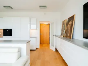 Prodej bytu 1+kk, Praha - Hrdlořezy, V třešňovce, 41 m2