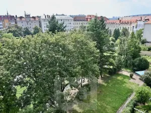 Pronájem bytu 1+1, Brno, Křídlovická, 42 m2