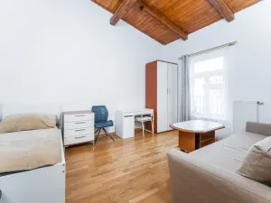 Prodej bytu 2+kk, Praha - Žižkov, Bořivojova, 72 m2