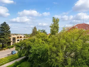 Pronájem bytu 2+1, Praha - Střešovice, Střešovická, 56 m2