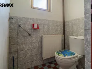 Prodej chalupy, Zlátenka, 425 m2
