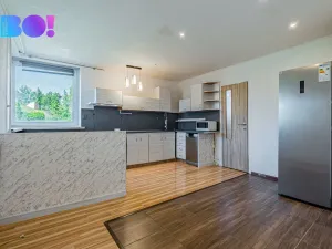 Prodej rodinného domu, Albrechtice, Rekreační, 280 m2