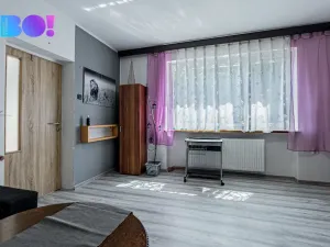 Prodej rodinného domu, Albrechtice, Rekreační, 280 m2